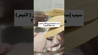 مالا تعرفه عن أهم فائدة لورق الغار ( النيم ) #shortvideo #2023 #food #فلوق #صحي #وصفات #معلومات