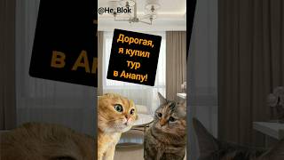 Два кота едут в Анапу #двакота #мем2024 #Анапа2024 #shorts