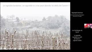 Le vignoble bordelais, vignoble en crise pour aborder les défis de l'avenir ? #lesVendangesEnLigne