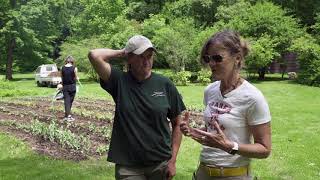 In The Garden: Historic Fallingwater's Cut Flower Garden