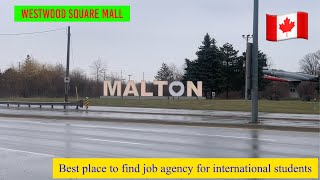 Where to find the agencies in Malton, Missisauga. 🇨🇦 Specially for international students westwood