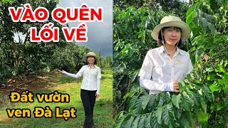 Đất vườn ven Đà Lạt| LẠC LỐI vì U Mê mảnh vườn đa dạng cây ăn trái này!