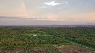 AREA ADU LAYANG LAYANG ATAU UWAU SAMBAS KALBAR