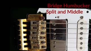 Seymour Duncan Mega Test Bridge Nazgul Alnico Pro 2 Vintage Hot Stack Neck Hot Rail Yamaha YG1212