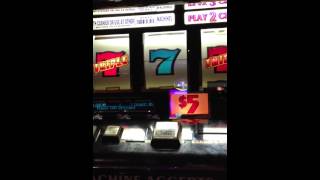 $5 Jackpot @ Evangeline Downs Racetrack & Casino Opelousas