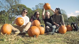 410 Films - Maryland Corn Maze and Pumpkins