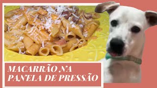 MACARRÃO CREMOSO NA PANELA DE PRESSÃO - RECEITA FÁCIL E RÁPIDA - COM PARTICIPAÇÃO ESPECIAL DA LUNA