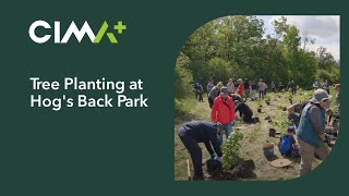 Tree Planting at Hog's Back Park | CIMA+