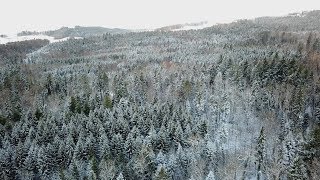 Winter Wonderland - DJI Mavic Pro