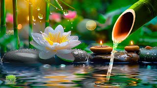 Relaxing Piano Music and Water Sounds, Relaxing Music, Stress Relief, Meditation Music, Study & Yoga