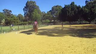 dressage Bailey and Marcia at the canter