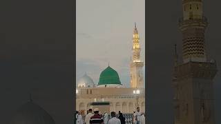 Mery Aqa ﷺKo Dekho Gy #masjidannabawi #hazratmuhammadsaw #shortstatus#wattsappstatus #viralvideo