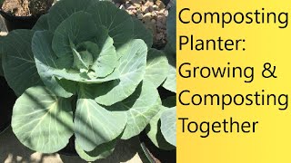 (Video 90) Composting Planter | Combined Composting & Growing Plants In Containers | New Project