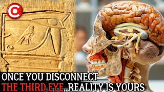 Third Eye Pineal Gland: The Biggest Cover-Up in Human History