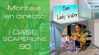 Montaje en directo con LadyWater - OASE ScaperLine 90 - PezVerde