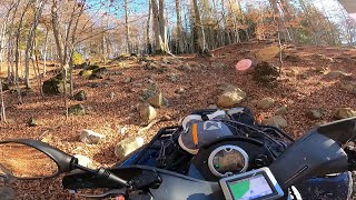 I found a new route | We don't know if we can continue | Can-Am & Yamaha Suzuki & CF Moto & Linhai