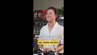 Hương Vị Đặc Trưng của Trà Oolong Kim Tuyên và Oolong Tứ Quý | TRÀ OOLONG PHƯỚC LẠC