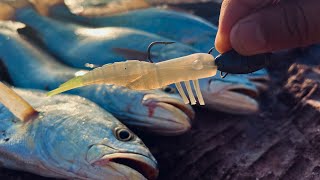 Pesca de CORVINAS de ORILLA // carnada artificial!