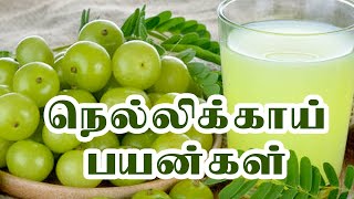 நெல்லிக்காய்  அற்புத பயன்கள் / Amla Juice / Health Tips