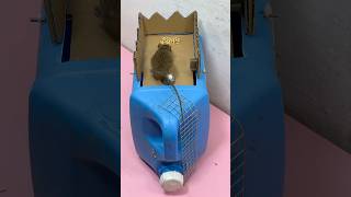 Best mouse trap idea//good rat trap at home #mousetrap #rattrap #rat #shorts