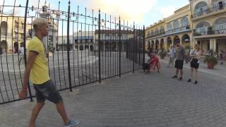 Girl And Dog in Havana