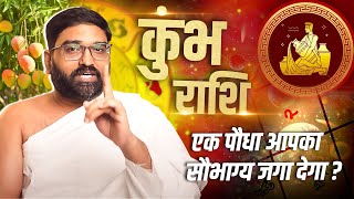 कुंभ राशि ( Aquarius Zodiac ) वाले इस पेड़ को जरूर लगाएं । एक पेड़ जो बदल सकता है आपकी किस्मत !