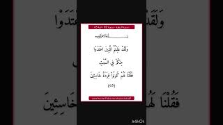 سورة البقرة - سورة 02 - اية 65