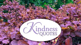 Kindness Quotes