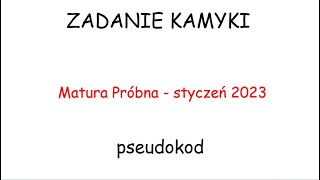 Gra w kamyki - zadanie z programowania na kartce, matura próbna z informatyki 2023.