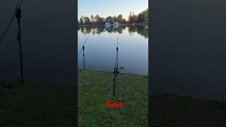 Carpfishing e relax #fishing #carp #fish #carpfishing  #fishingvideo #nash #korda #carphotography