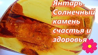 Янтарь.  Солнечный камень счастья и здоровья