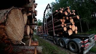 Loading a load of Timber on a Timbertruck #13