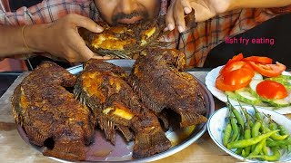 omg!big siz tanduri telapia fish fry eating with green chilli and salad mukbang fried fish eating