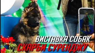 Довгоочікувані "Скарби Суренджу" 2021