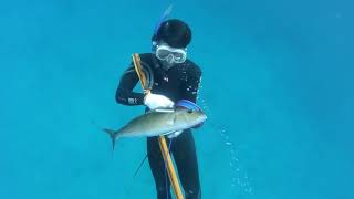 Blue Water Spearfishing In Sabang Aceh Indoensia