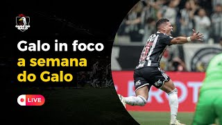 A SEMANA DO GALO - GALO IN FOCO