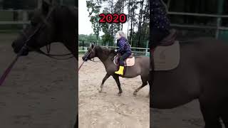 Как изменилась моя рысь💕#horse