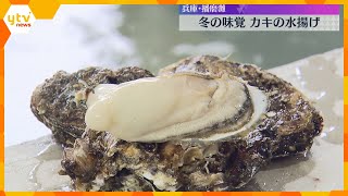 冬の味覚カキの水揚げ作業が始まる　加熱しても縮みにくく大ぶりの身が特徴　兵庫・相生市　播磨灘沿岸