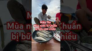 Chải nghiệm mùa nước Lũ Miền Tây #giaitri #cute #thegioigiaitri #memes #funny