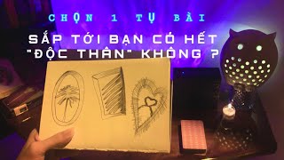 SẮP TỚI BẠN CÓ HẾT "ĐỘC THÂN" KHÔNG ? 💜 Kitoàn Tarot Channel