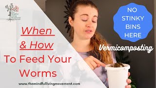 How Much Food Should You Add To Your Worm Bin & When: Vermicomposting At Home