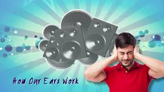 EXCEL 8 Module 3  How our ears work