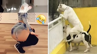 Try Not To Laugh While Watching Funny Animals Compilation (2021) #69