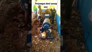 demi sesuap nasi #shortsfeed #shortvideo #shortviral