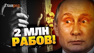 Цена раба в РФ! Россия лидер по количеству работорговцев!