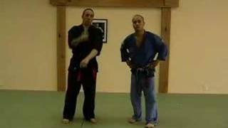 CASA DE KENPO - PURPLE BELT - SWINGING PENDULUM