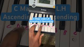 C Major Scale Left Hand #pianotutorial #musiceducation #musicteacher #musiced #shortsviral