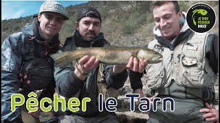 Pêcher le Tarn - Truite en Aveyron 🌳🎣