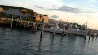 Tarpon unspooling in Key West, Florida on August 14, 2010