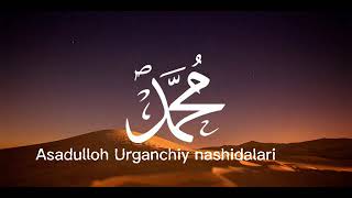 Salatulloh Salamulloh/Asadulloh Urganchiy